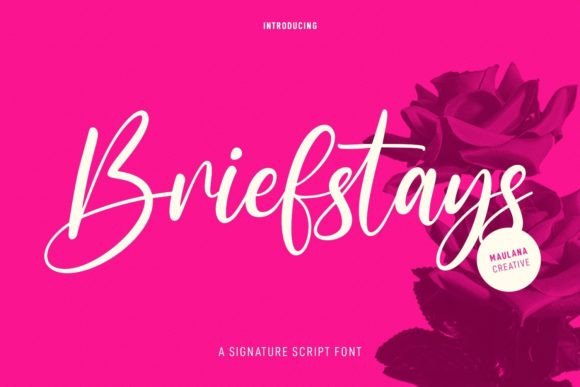 Briefstays: A Designer’s Honest Review of This Script Typeface