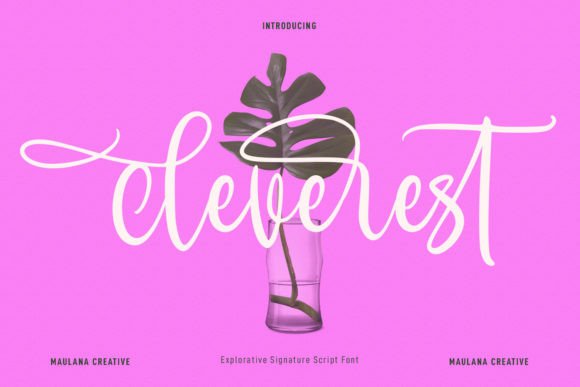Cleverest: The Sweet Script Typeface for Handmade Branding