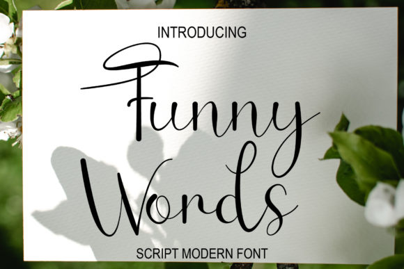 Funny Words: The Elegant Script Font for Scroll-Stopping Visuals