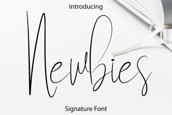 Newbies Script Font: Elevate Campaign Visuals with Delicate Typography