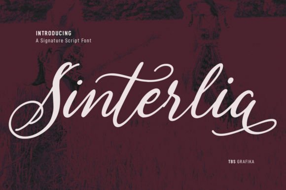 Sinterlia: A Handwritten Script Font for Modern Web Design