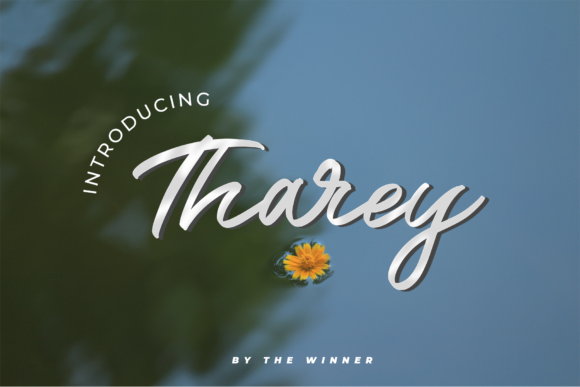 Tharey: The Brushed Script Typeface for Scroll-Stopping Brand Visuals